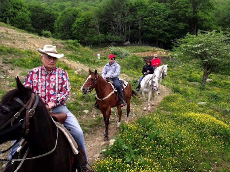 Banner Elk Riding Stables